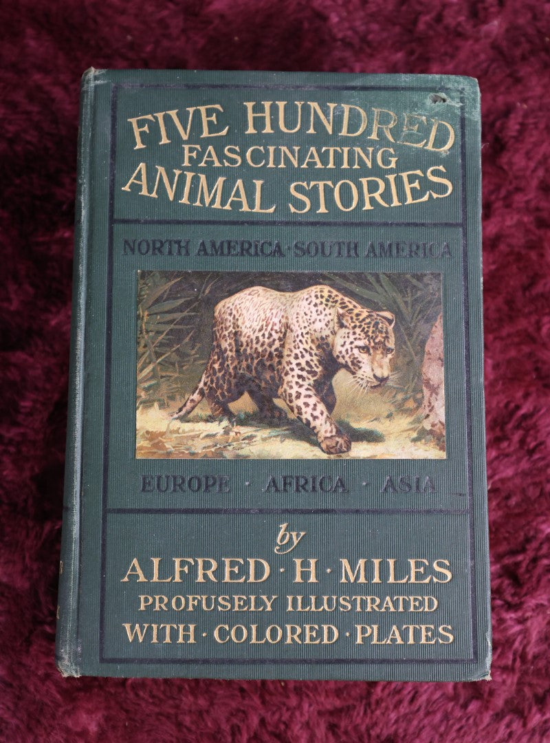 Lot 009 - Five Hundred Fascinating Animal Stories By Alfred H. Miles Profusely Illustrated Wityh Colored Plates, Antique 1907 Edition Book