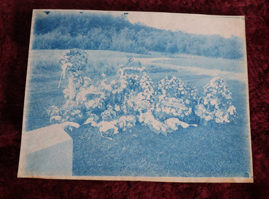 Lot 150 - Antique Cyanotype Photograph Of I.O.O.F. Odd Fellows Gravesite With Flowers