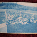 Lot 150 - Antique Cyanotype Photograph Of I.O.O.F. Odd Fellows Gravesite With Flowers