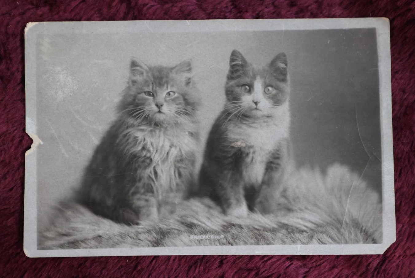 Lot 151 - Grouping Of 8 Antique Cat Postcards, Tuck And More Circa 1910-1940