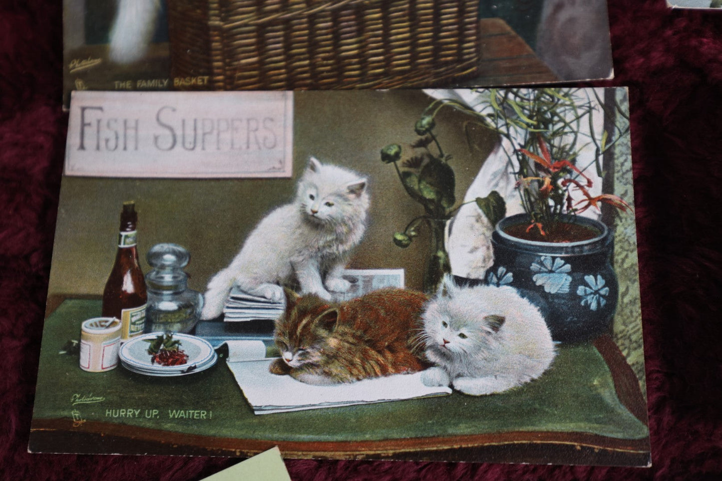 Lot 151 - Grouping Of 8 Antique Cat Postcards, Tuck And More Circa 1910-1940