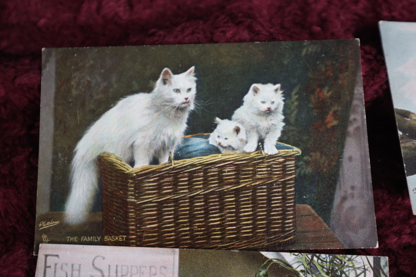 Lot 151 - Grouping Of 8 Antique Cat Postcards, Tuck And More Circa 1910-1940