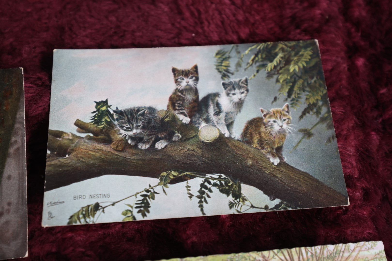 Lot 151 - Grouping Of 8 Antique Cat Postcards, Tuck And More Circa 1910-1940