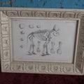 Lot 058 - Antique Book Plate Of Extinct Elephant Species Skeleton In Modern Frame