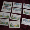 Lot 095 - Grouping Of Eleven Birth Announcement Cards, Illustrated By E. Von H., Dated 1917