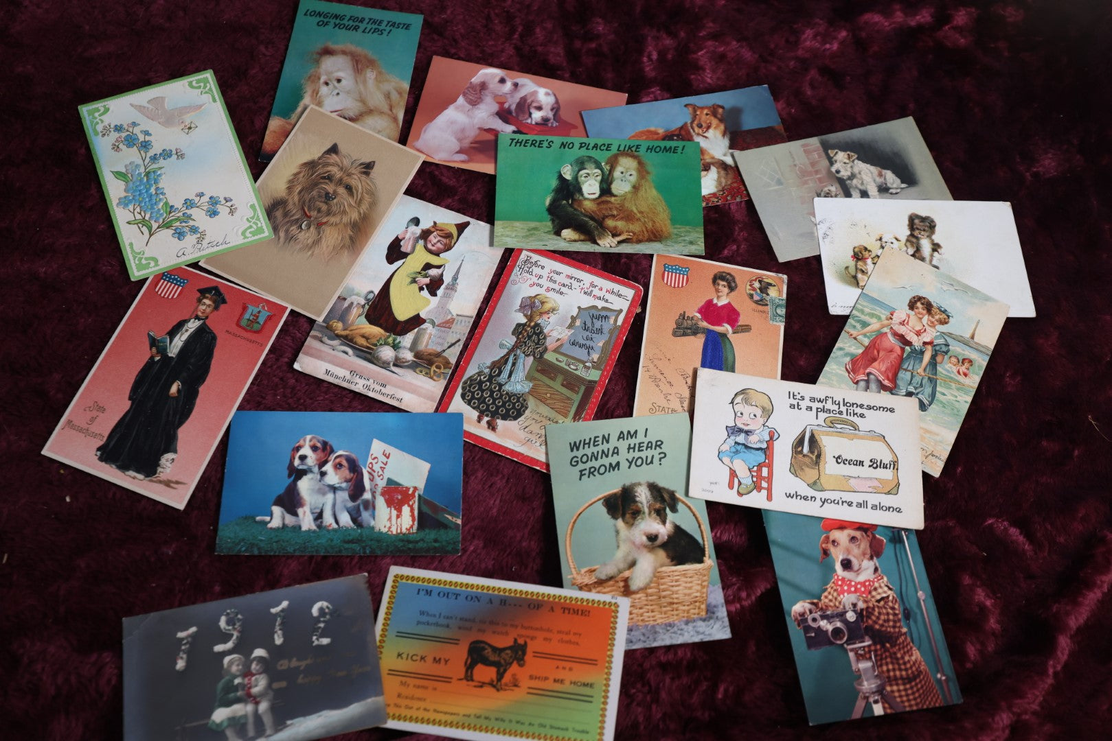 Lot 098 - Grouping Of 19 Vintage And Antique Novelty And Animal Postcards