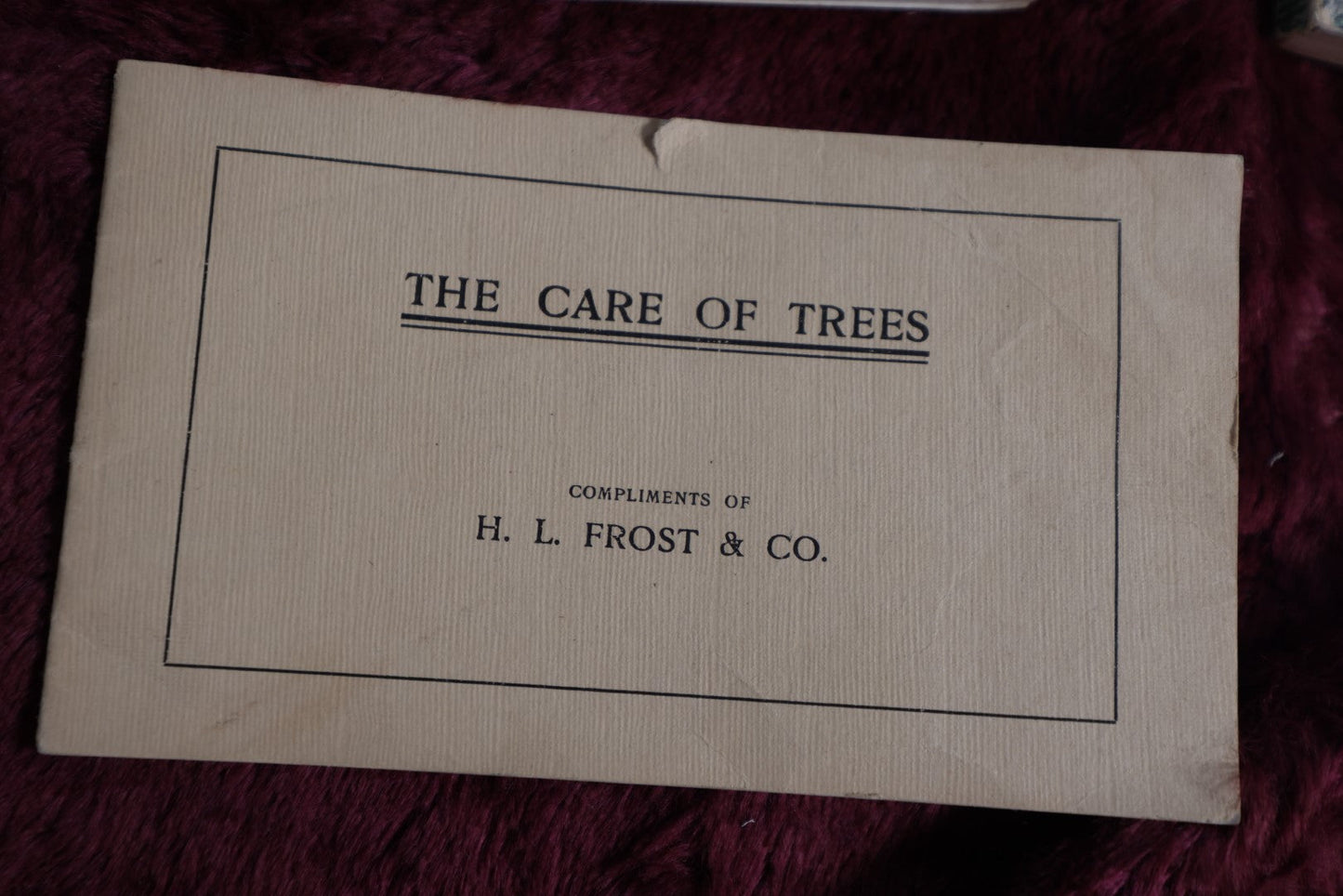 Lot 107 - Grouping Of 9 Vintage And Antique Ephemera Booklets - Birds Of America, The Care Of Trees, United States History, 1894 New Hampshire Business Directory