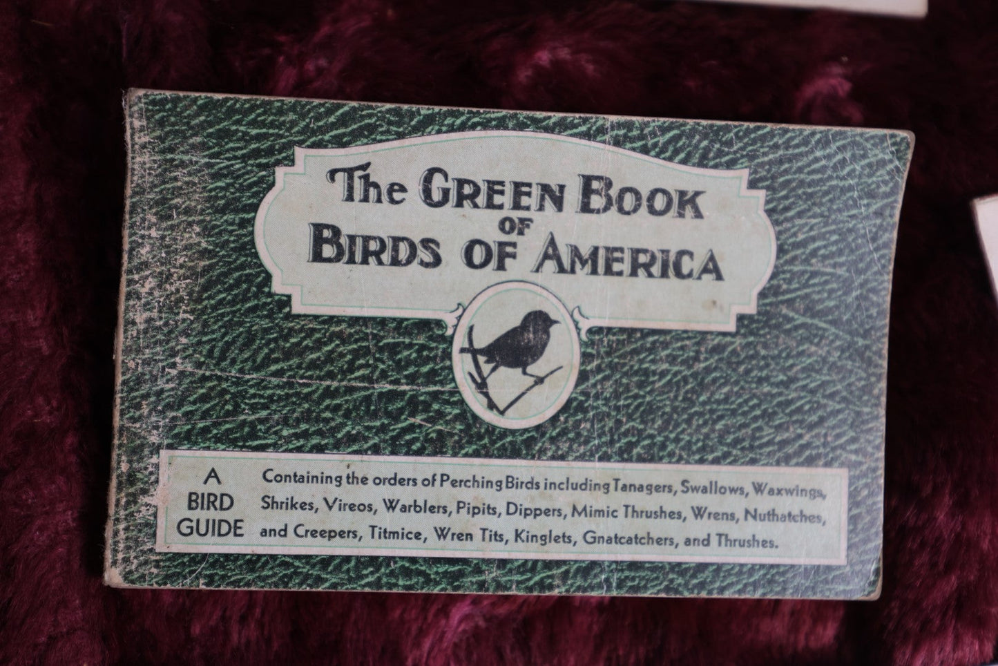 Lot 107 - Grouping Of 9 Vintage And Antique Ephemera Booklets - Birds Of America, The Care Of Trees, United States History, 1894 New Hampshire Business Directory