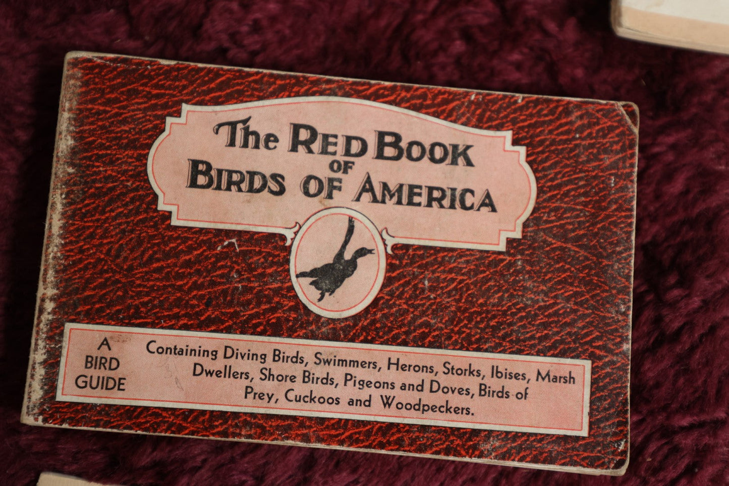 Lot 107 - Grouping Of 9 Vintage And Antique Ephemera Booklets - Birds Of America, The Care Of Trees, United States History, 1894 New Hampshire Business Directory