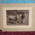 Lot 085 - Antique Boarded Photo Of Man With Curly Horned Sheep
