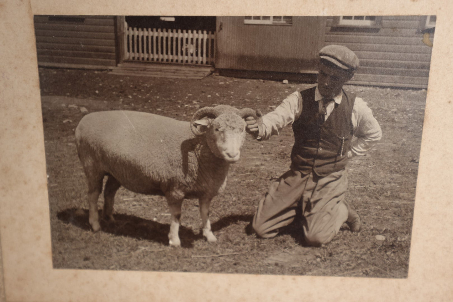 Lot 085 - Antique Boarded Photo Of Man With Curly Horned Sheep