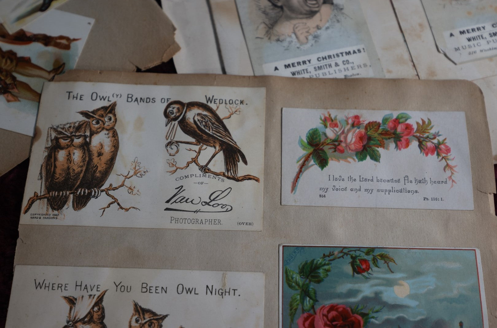 Lot 106 - Three Piece Trade Card Scrapbook Page Lot, Various Cards, Owls, Babies, More