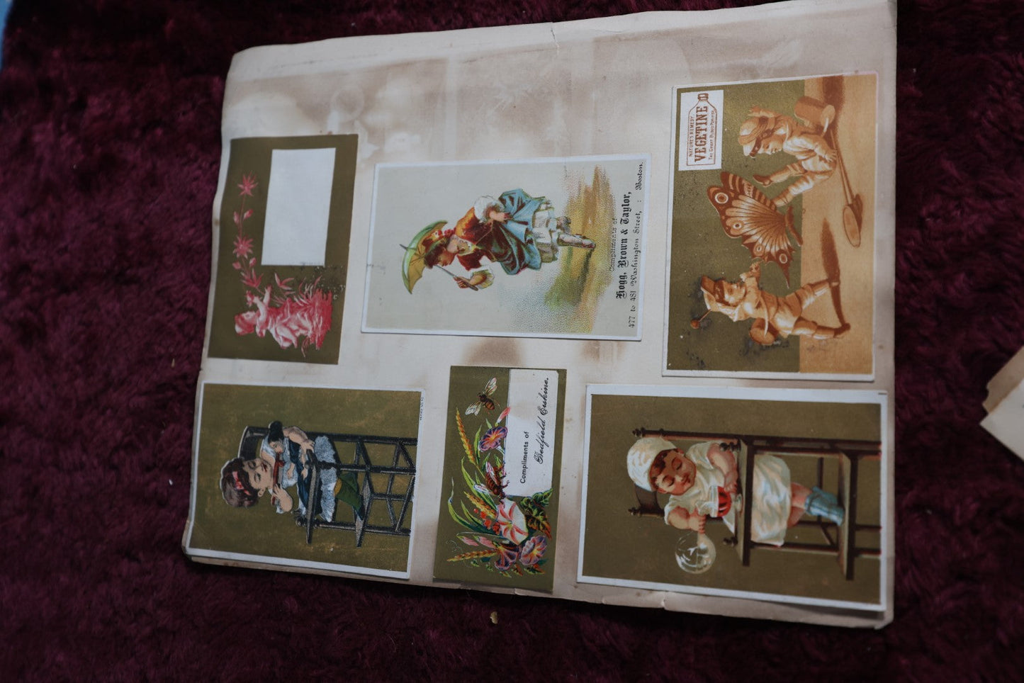 Lot 106 - Three Piece Trade Card Scrapbook Page Lot, Various Cards, Owls, Babies, More