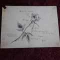 Lot 111 - Antique Rose Illustration And Herrick Poem, A Souvenir Of Wednesday, November 7th, 1888, Academy Hall, Salem, Mass., Hand Drawn