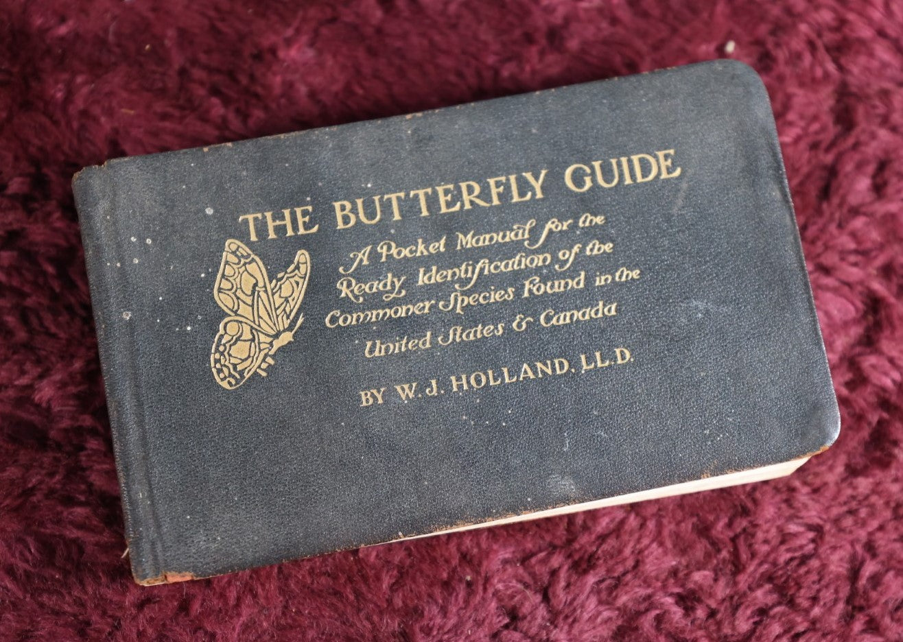 Lot 112 - Antique Book, The Butterfly Guide, By W.J. Holland, 1915, Doubleday, Page, And Co., New York, Illustrated In Color