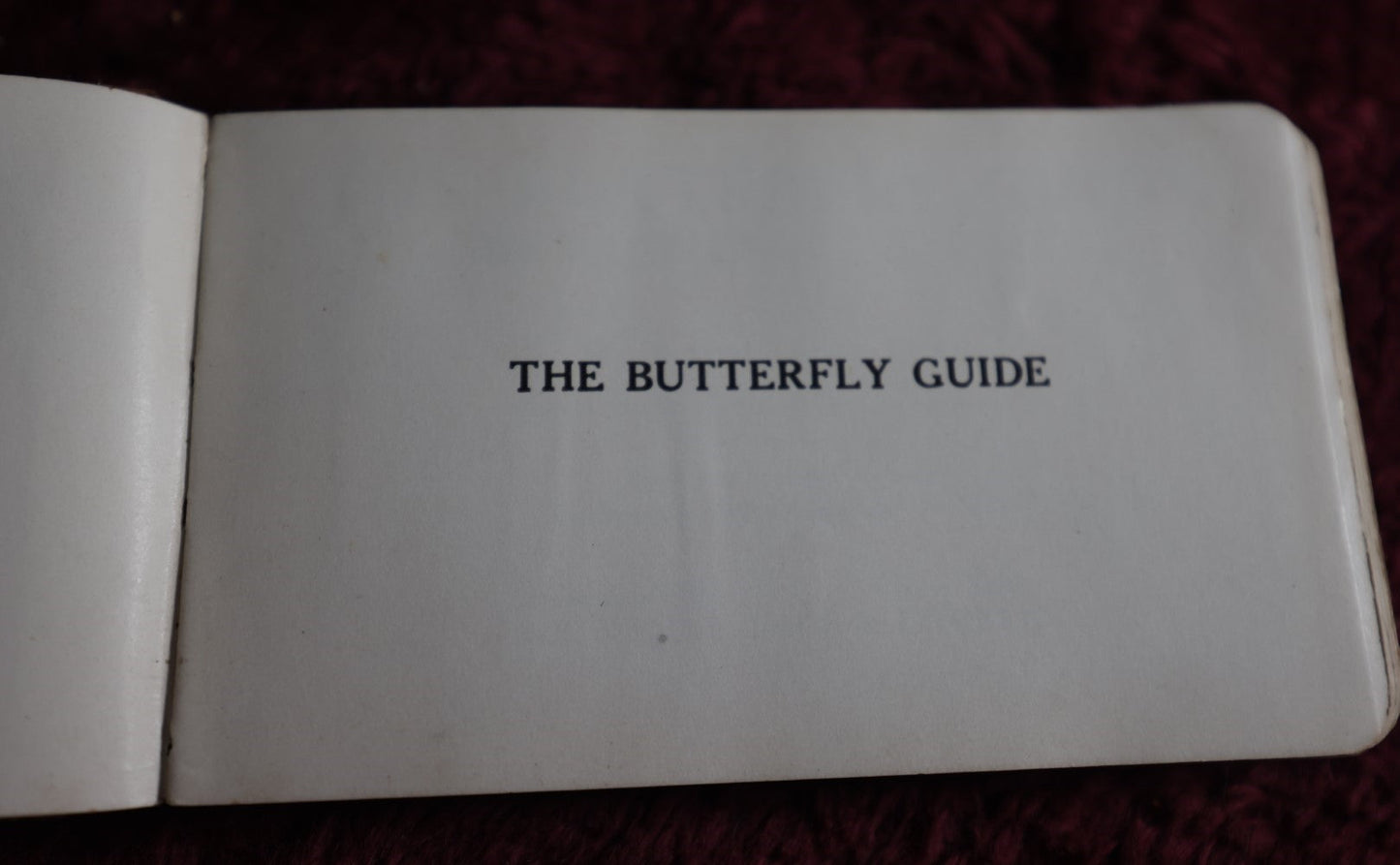 Lot 112 - Antique Book, The Butterfly Guide, By W.J. Holland, 1915, Doubleday, Page, And Co., New York, Illustrated In Color