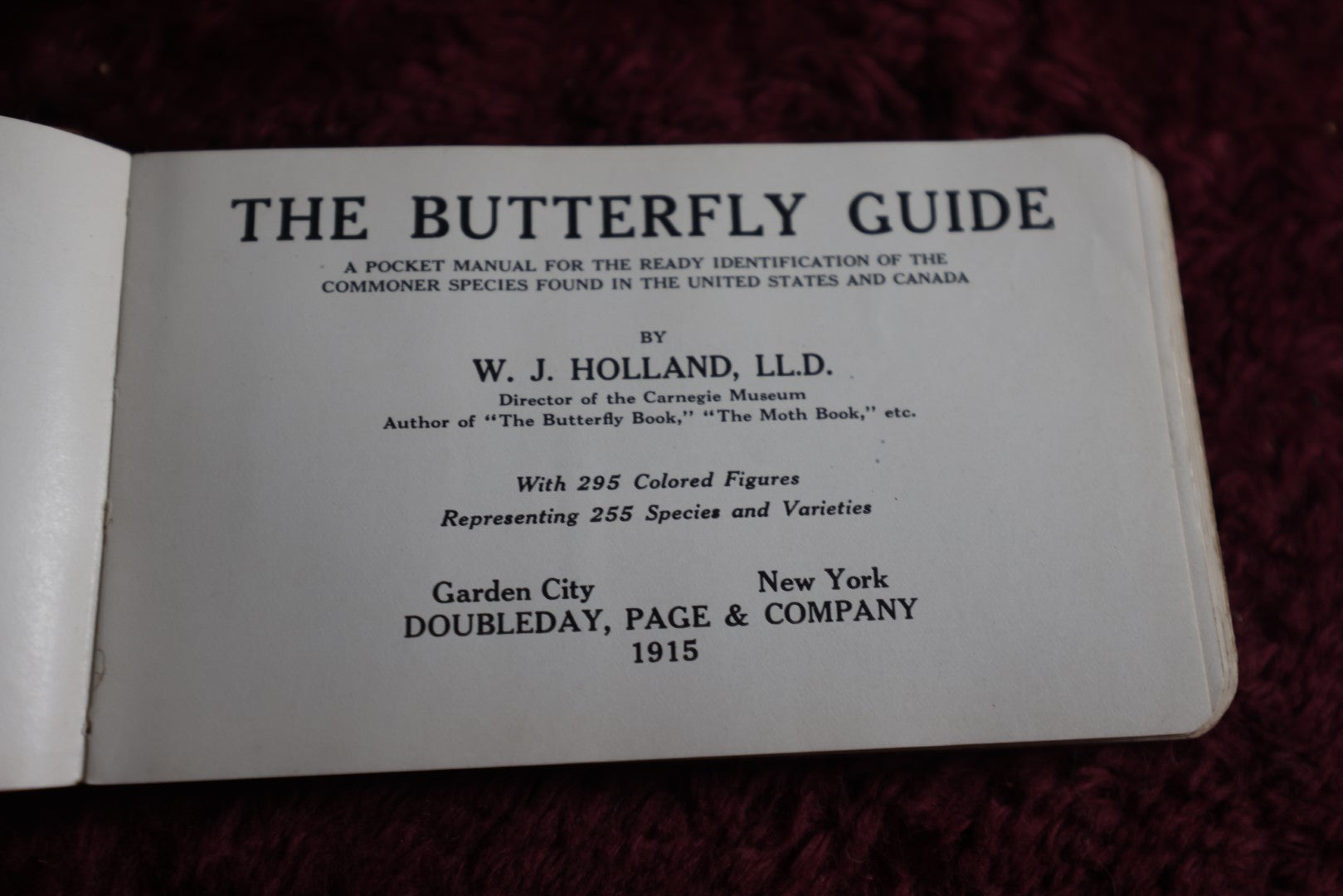 Lot 112 - Antique Book, The Butterfly Guide, By W.J. Holland, 1915, Doubleday, Page, And Co., New York, Illustrated In Color