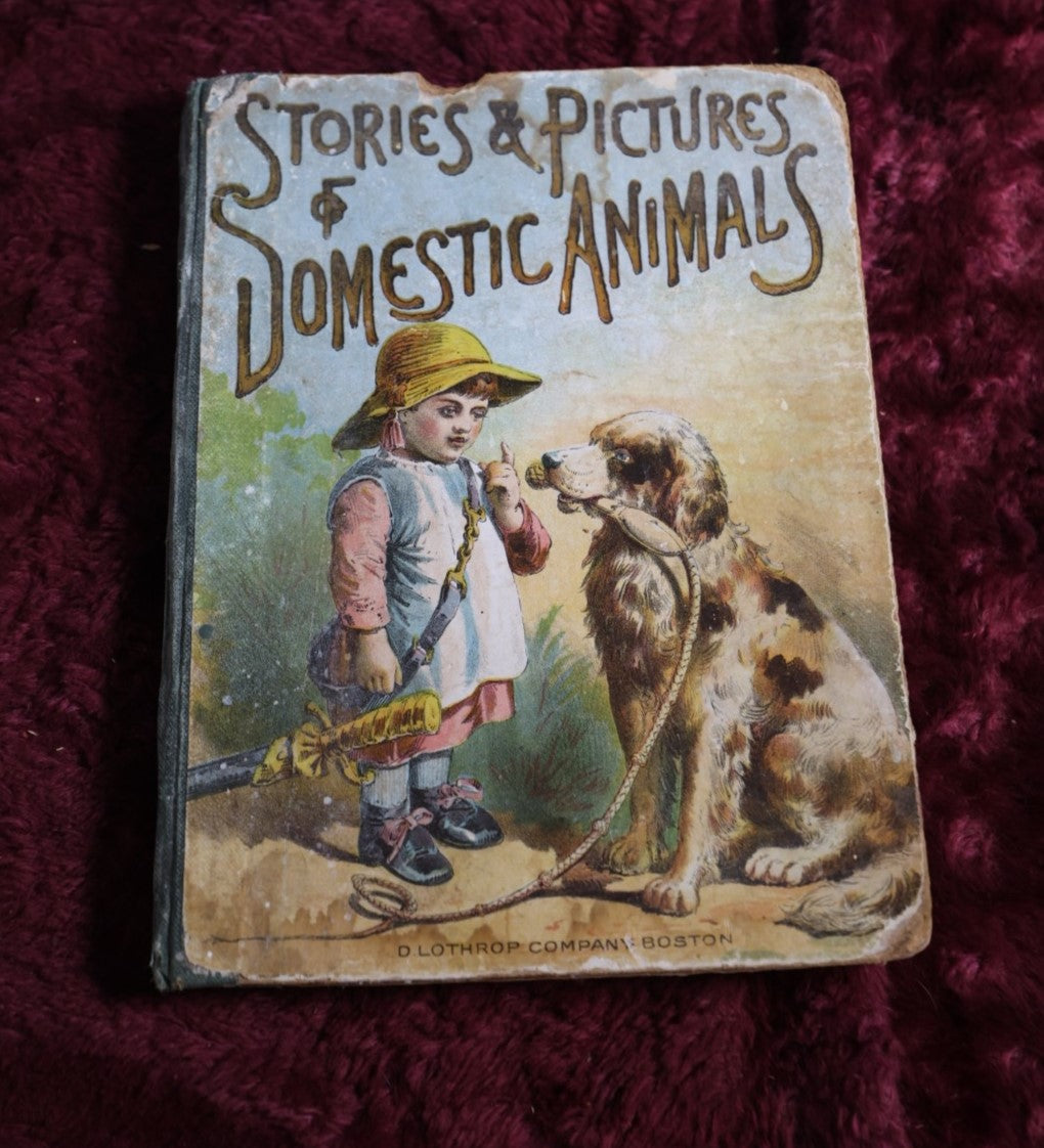 Lot 137 - Antique Illustrated Children'S Book "Stories And Pictures Of Domestic Animals" Copyright 1879 By D. Lothrop And Company