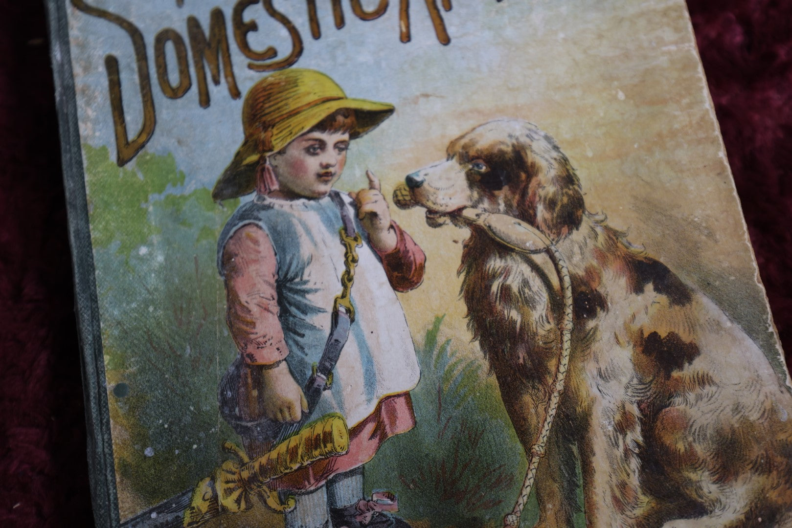 Lot 137 - Antique Illustrated Children'S Book "Stories And Pictures Of Domestic Animals" Copyright 1879 By D. Lothrop And Company