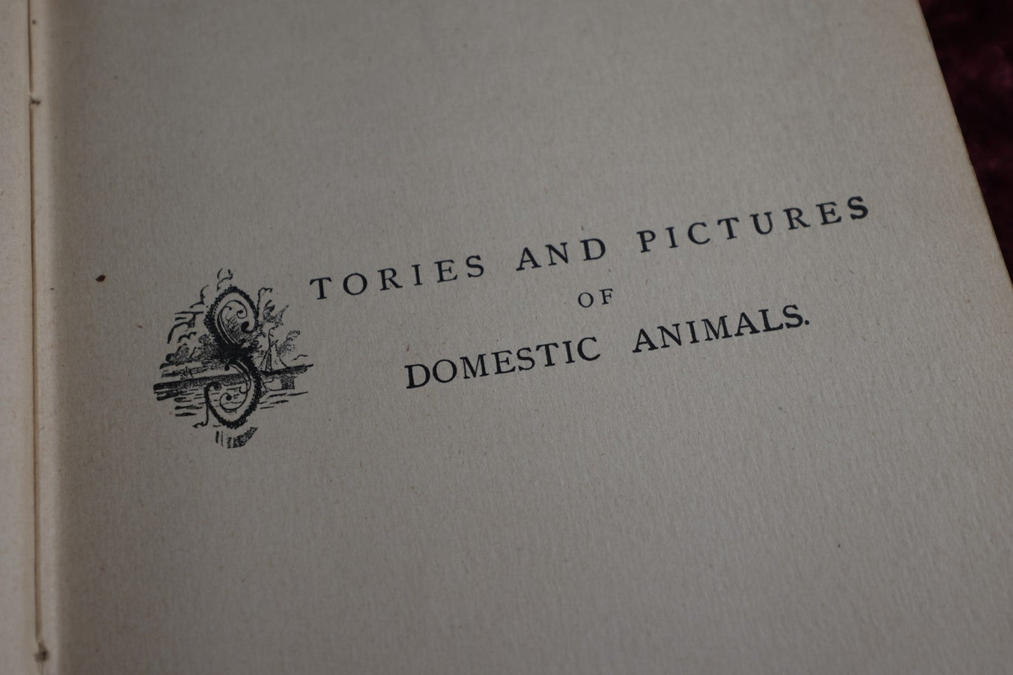 Lot 137 - Antique Illustrated Children'S Book "Stories And Pictures Of Domestic Animals" Copyright 1879 By D. Lothrop And Company