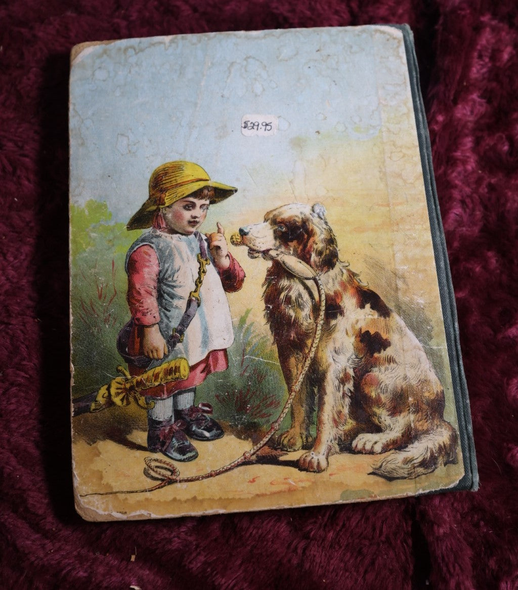 Lot 137 - Antique Illustrated Children'S Book "Stories And Pictures Of Domestic Animals" Copyright 1879 By D. Lothrop And Company