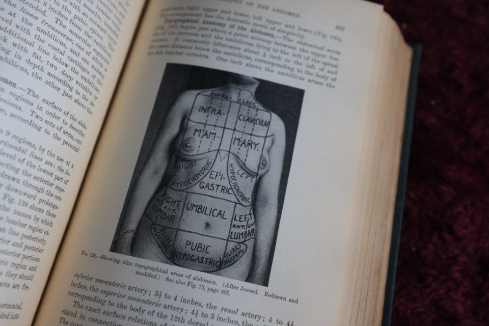 Lot 143 - Antique Medical Book, Diagnostics Of Internal Medicine, By Glenworth Reeve Buttler, M.D., 1905, Illustrated