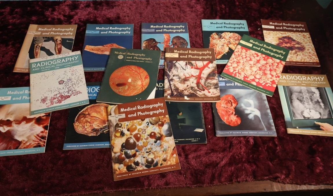 8/15/2024 AUCTION PHOTO GALLERY