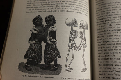 8/15/2024 AUCTION PHOTO GALLERY