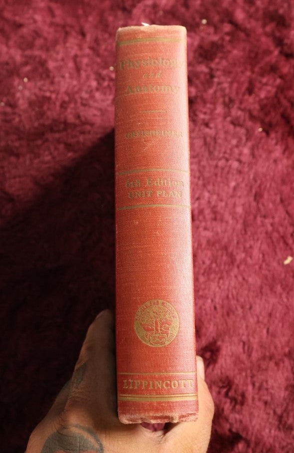 Lot 146 - Physiology And Anatomy, By Exther M. Greisheimer, M.D., Sixth Edition, 1950, Illustrated Medical Book