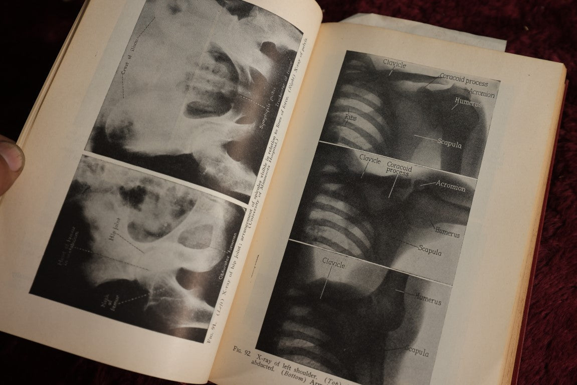 Lot 146 - Physiology And Anatomy, By Exther M. Greisheimer, M.D., Sixth Edition, 1950, Illustrated Medical Book