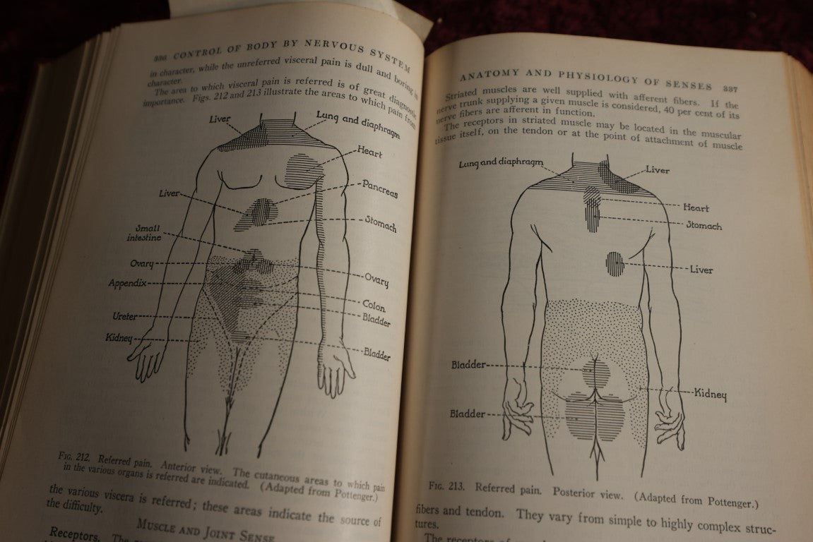 Lot 146 - Physiology And Anatomy, By Exther M. Greisheimer, M.D., Sixth Edition, 1950, Illustrated Medical Book