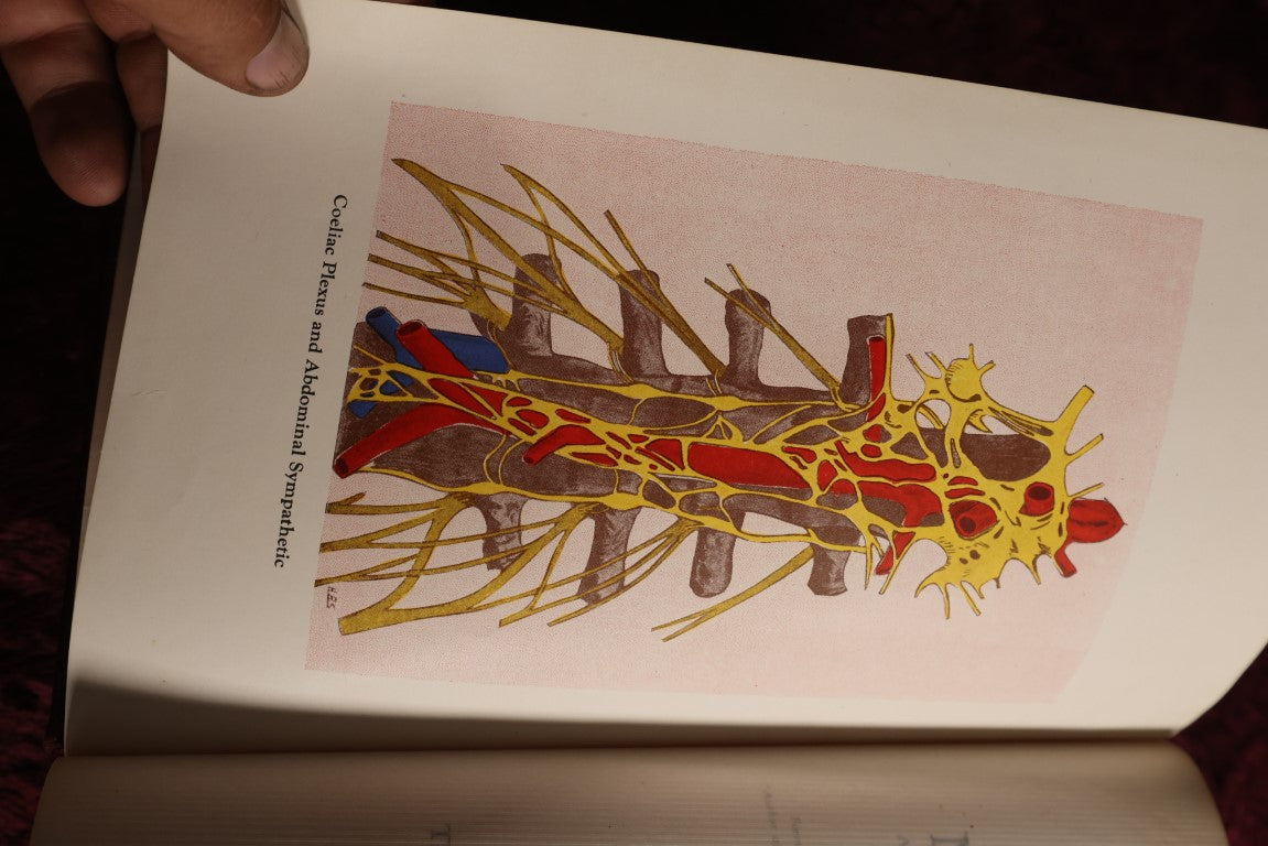 8/15/2024 AUCTION PHOTO GALLERY