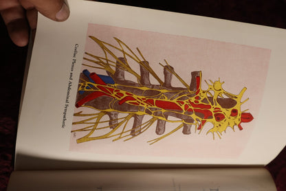 8/15/2024 AUCTION PHOTO GALLERY