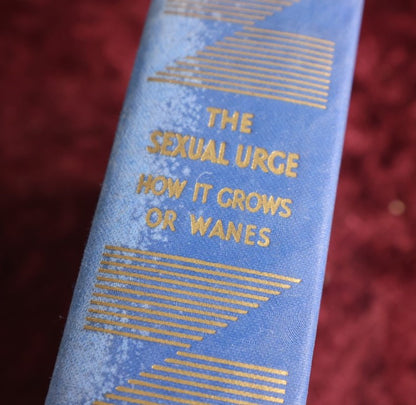 8/15/2024 AUCTION PHOTO GALLERY