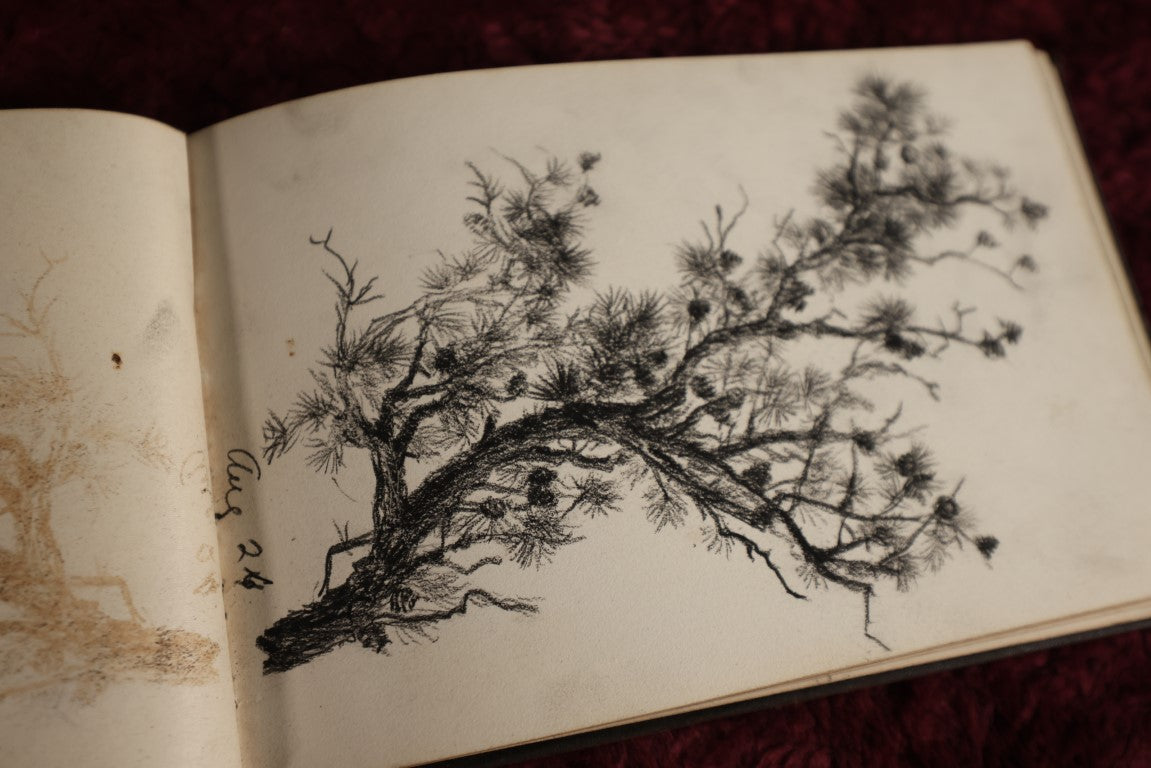 Lot 013 - Antique Sketchbook Of Jean Macleod, Massachusetts & New Hampshire, 1880s, Full Of Incredible Original Pencil Sketches And Drawings, Pen And Ink, And More