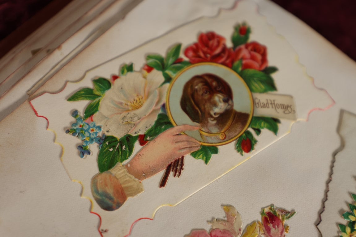 8/15/2024 AUCTION PHOTO GALLERY