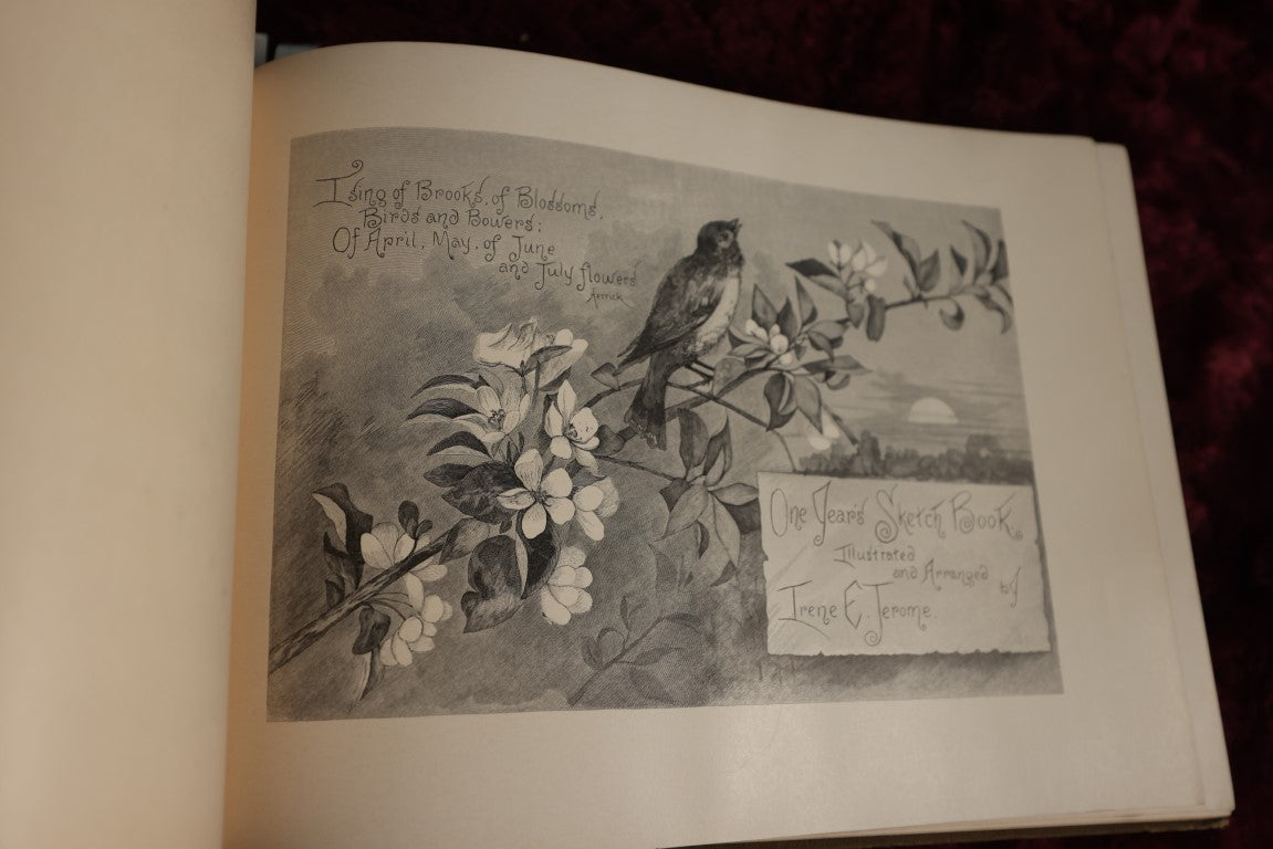 8/15/2024 AUCTION PHOTO GALLERY