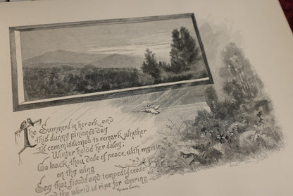 8/15/2024 AUCTION PHOTO GALLERY