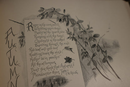 8/15/2024 AUCTION PHOTO GALLERY