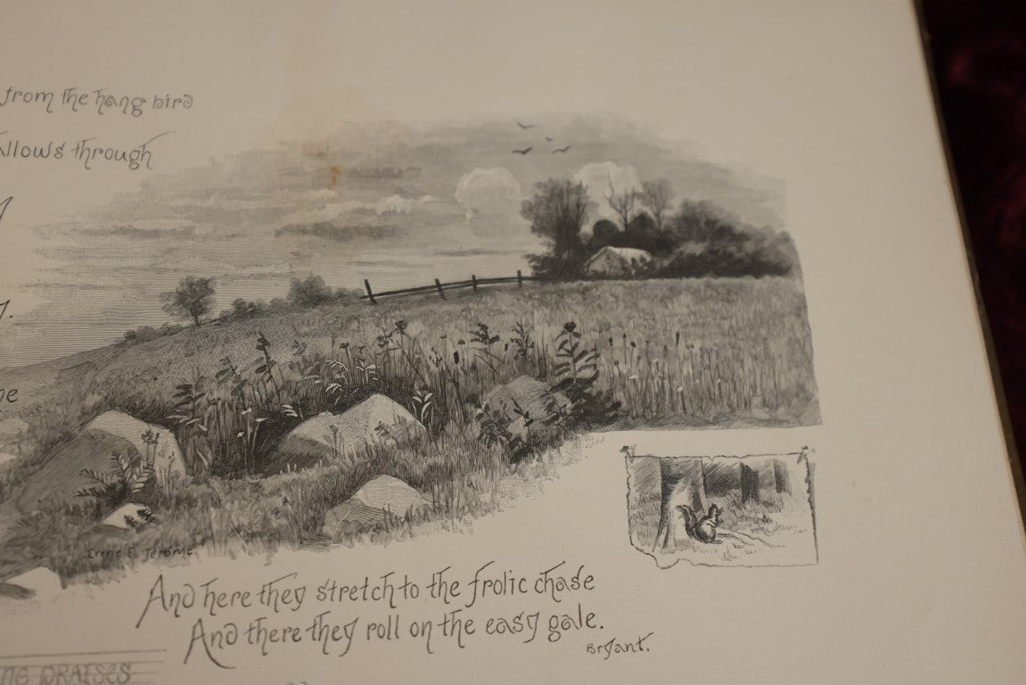 8/15/2024 AUCTION PHOTO GALLERY