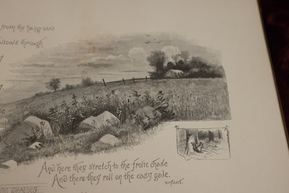 8/15/2024 AUCTION PHOTO GALLERY