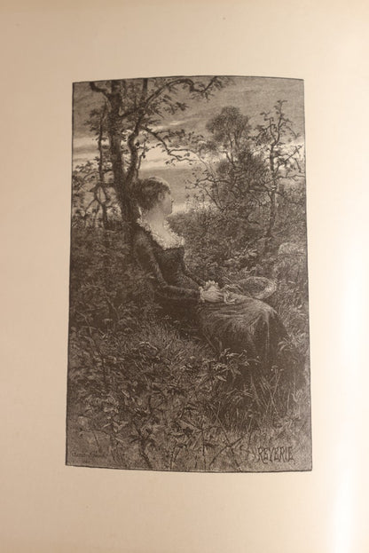 8/15/2024 AUCTION PHOTO GALLERY