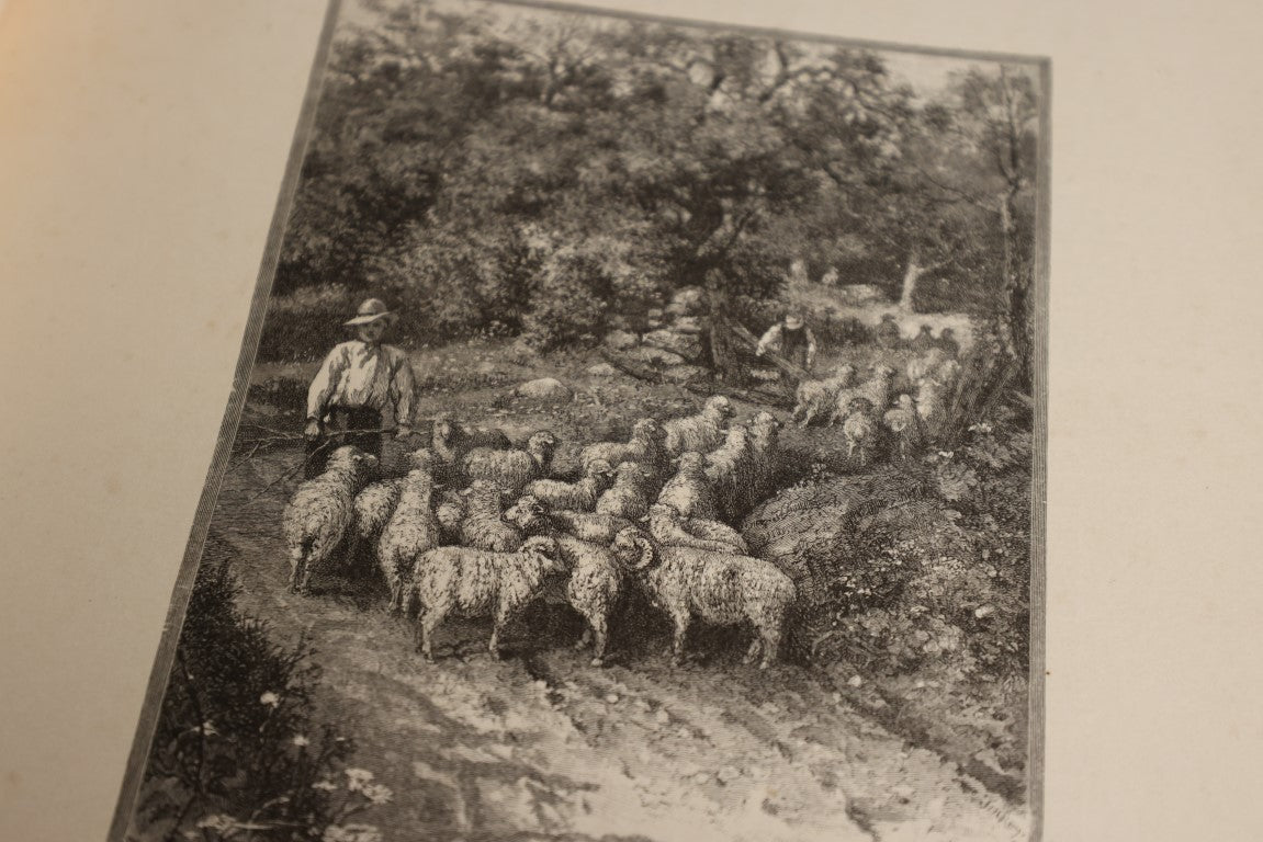 8/15/2024 AUCTION PHOTO GALLERY