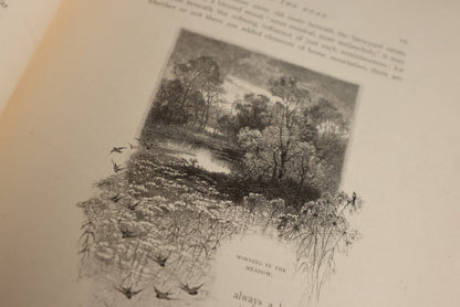 8/15/2024 AUCTION PHOTO GALLERY