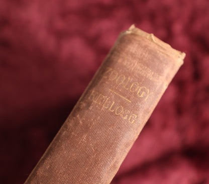 8/15/2024 AUCTION PHOTO GALLERY