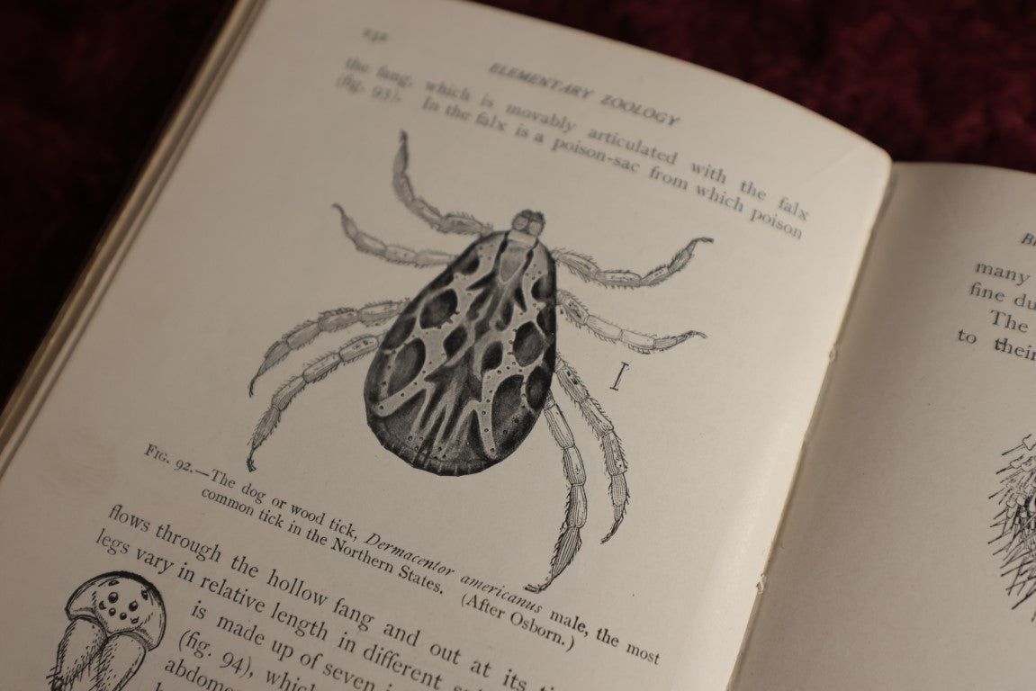 8/15/2024 AUCTION PHOTO GALLERY