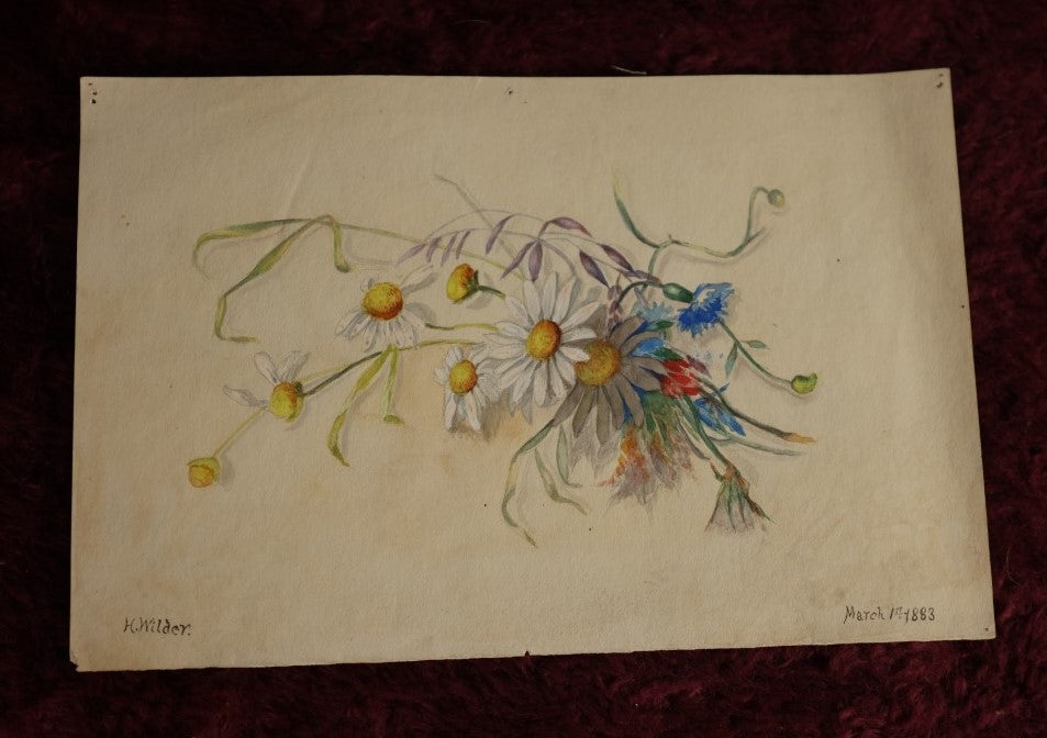 Lot 031 - Antique Original Watercolor Painting Of Colorful Flowers, Signed H. Wilder, Dated March 1St, 1883