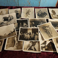 Lot 033 - Important Collection Of Early 8 X 10 Promotional Photos Of The Pioneers Of Modern Dance And Performance Art, Featuring Ted Shawn, Ruth St. Denis, And More, 18 Pieces, New York City