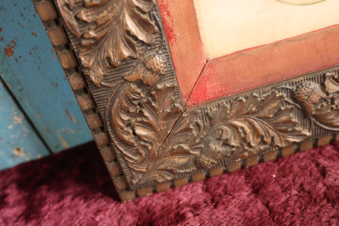 Lot 036 - Antique Framed Hand Tinted Photograph Of Young Girl With Lace Collar, Ornate Frame With Flowers And Leaves, Red Fabric Surround, Original Wood Back