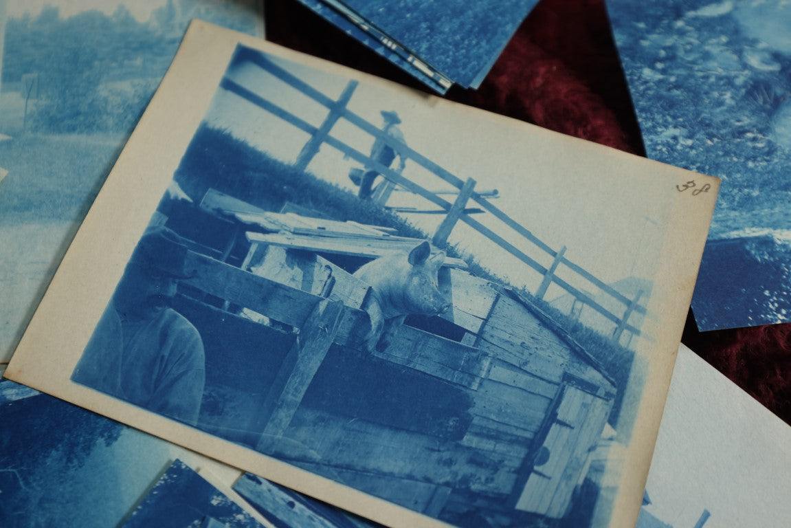 Lot 047 - Massive Grouping Of Antique Cyanotype Photographs, Circa 1895 - 1905, Many Of Washington D.C., Landmarks, Interiors, Portraits, Architecture - Over 125 Pieces